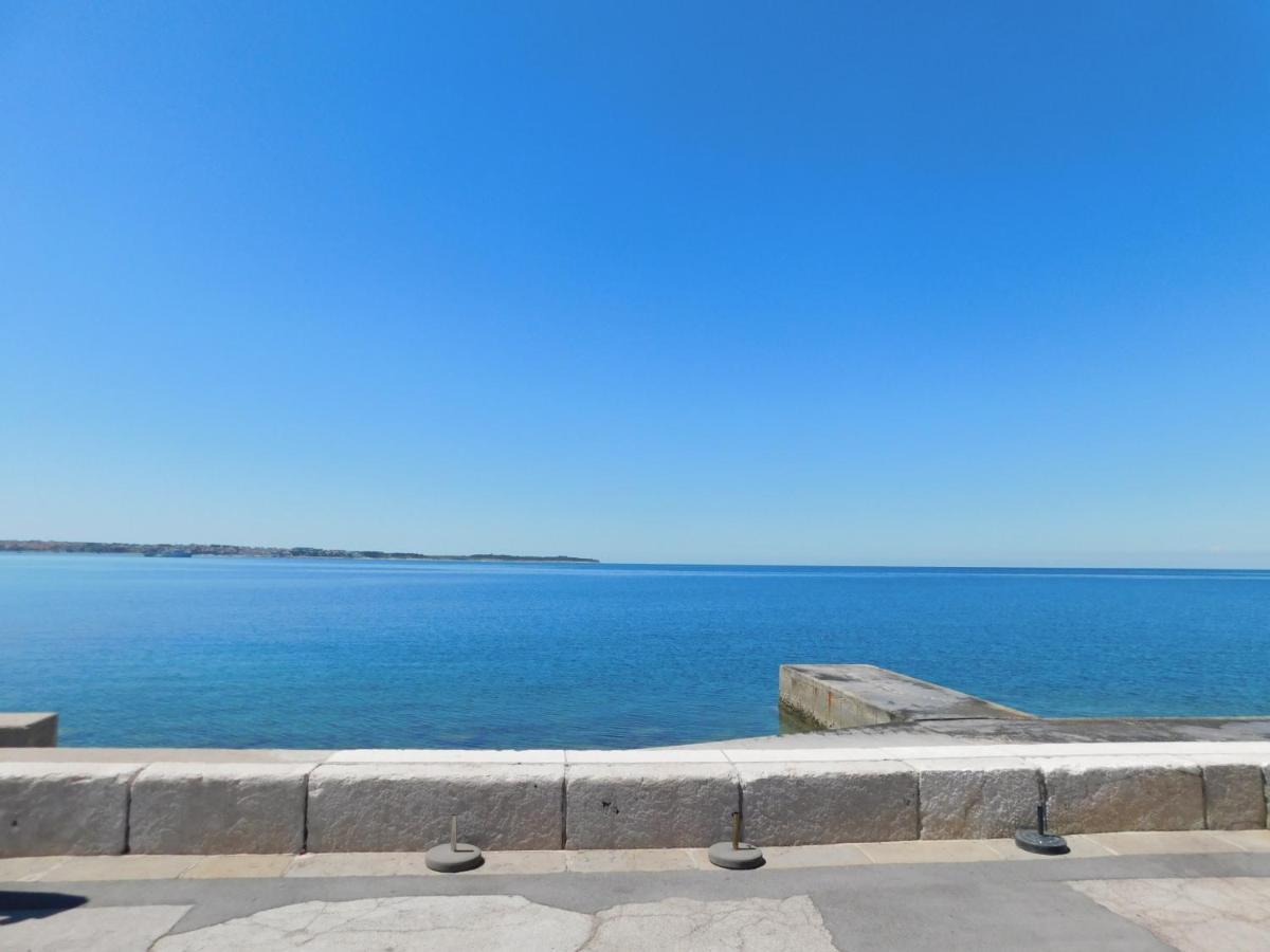 Free Terrace Piran